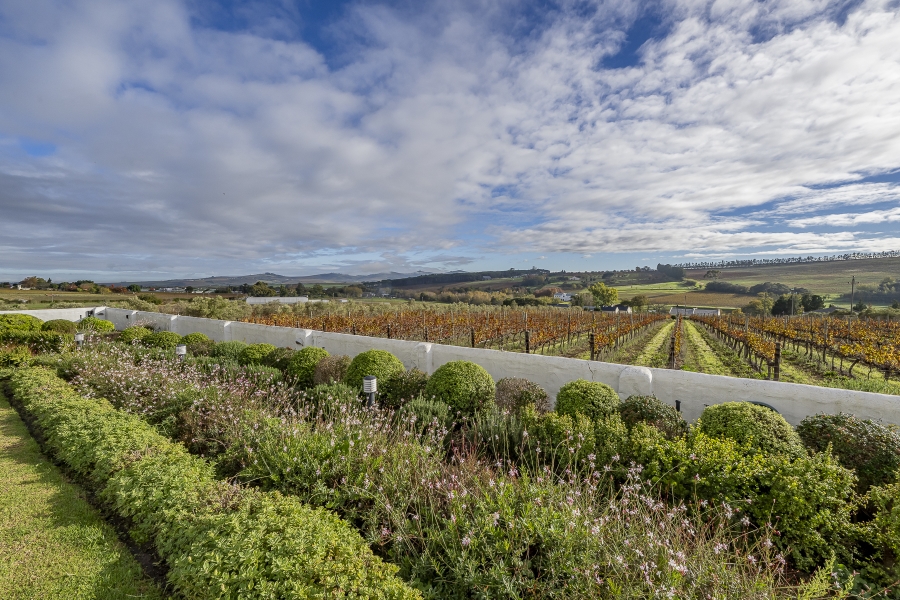 7 Bedroom Property for Sale in Stellenbosch Farms Western Cape